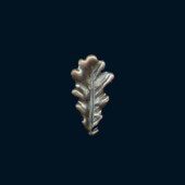 PL 007 : 21mm x 12mm